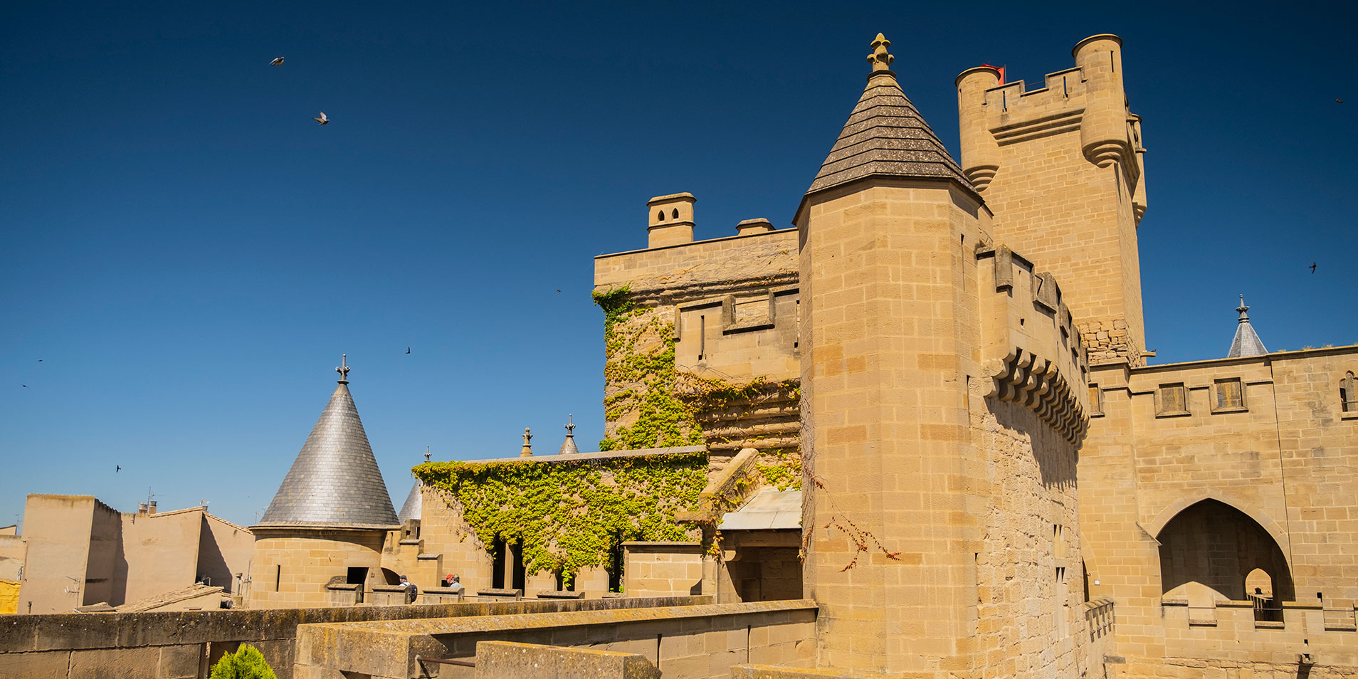 Castillo_de_Olite_vista_general