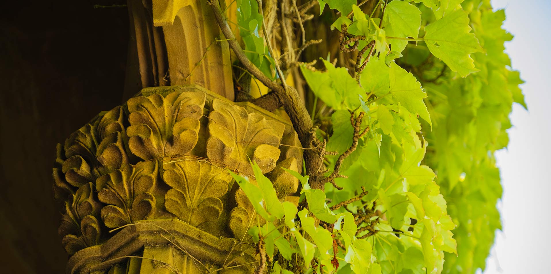 Castillo_de_Olite_detalle_arquitectura