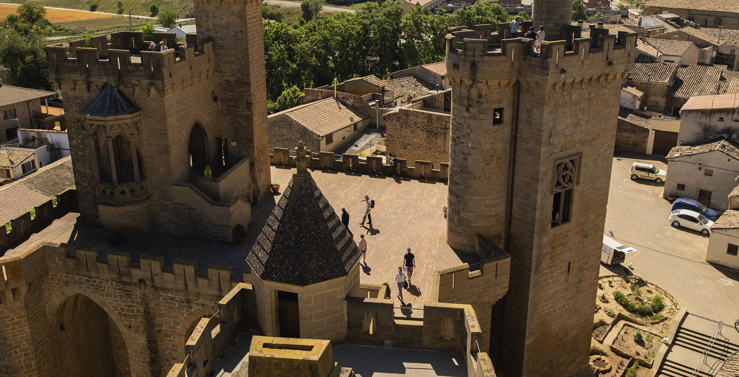 Visita guiada Palacio Real de Olite_vista general del edificio