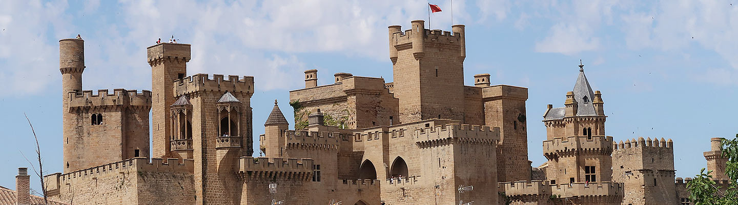 Castillo Palacio Real de OIite_Información visita y historia